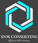 SNM CONSULTING LOGO