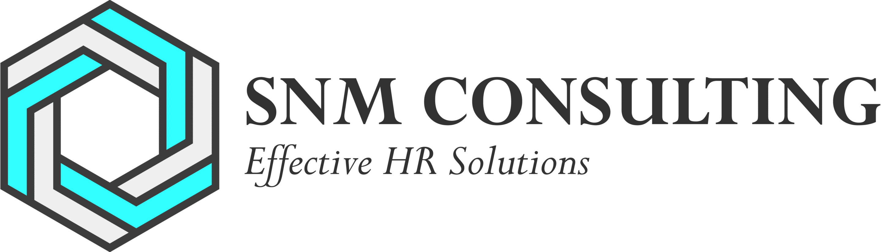 SNM Consulting